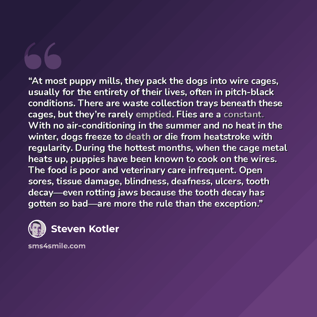 “At most puppy mills, they pack the dogs into wire cages, usually for the entirety of their lives, often in pitch-black conditions. There are waste collection trays beneath these cages, but they’re rarely emptied. Flies are a constant. With no air-conditioning in the summer and no heat in the…” quote by Steven Kotler