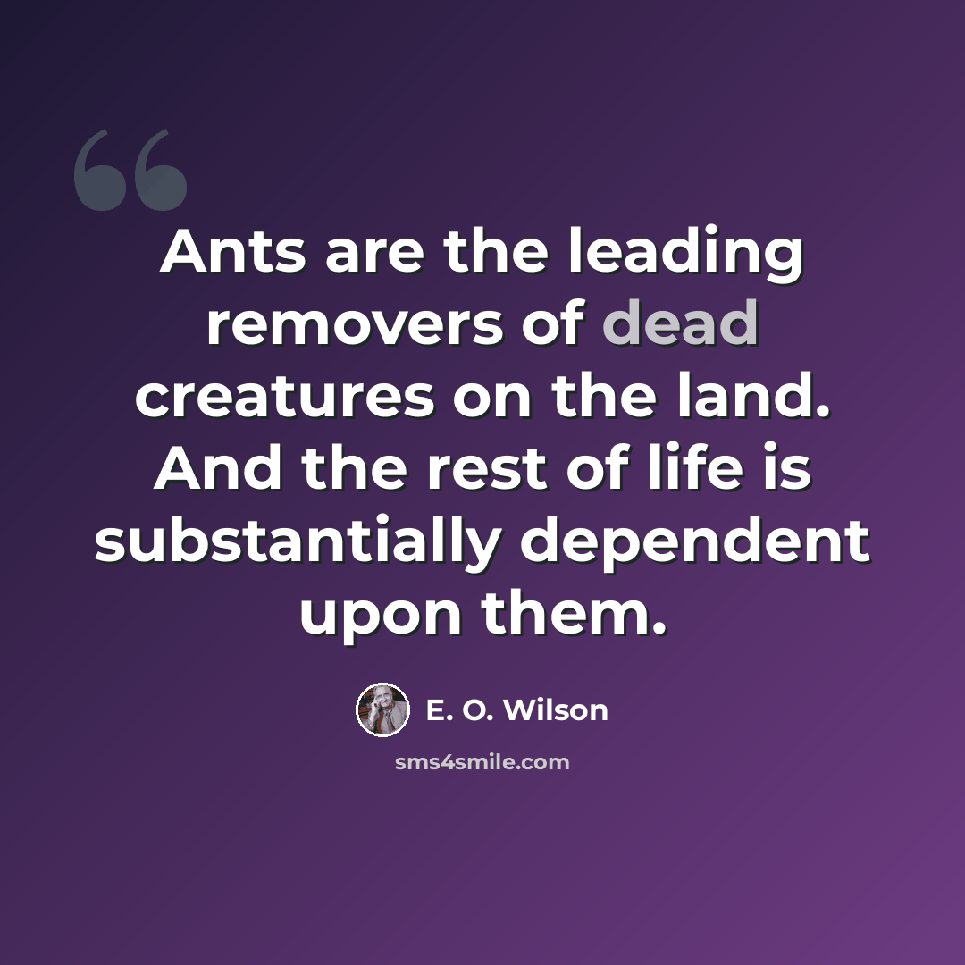 “Ants are the leading removers of dead creatures on the land. And the rest of life is substantially dependent upon them.” quote by E. O. Wilson