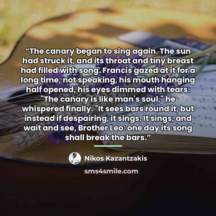 “The canary began to sing again. The sun had struck it, and its throat and tiny breast had filled with song. Francis gazed at it for a long time, not speaking, his mouth hanging half opened, his eyes dimmed with tears. "The canary is like man's soul," he whispered finally. "It sees bars round it…” quote by Nikos Kazantzakis