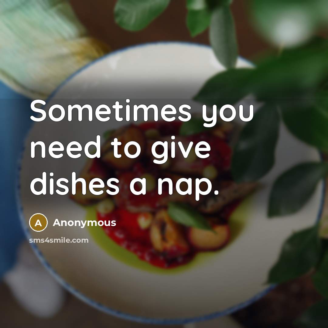 “Sometimes you need to give dishes a nap.” quote by Anonymous