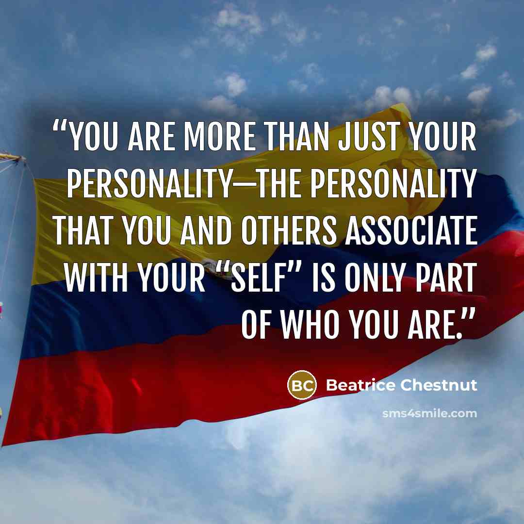 “you are more than just your personality—the personality that you and others associate with your “self” is only part of who you are.” quote by Beatrice Chestnut