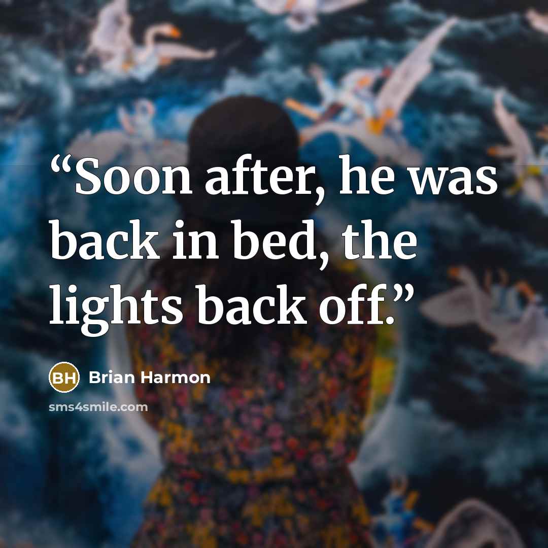 “Soon after, he was back in bed, the lights back off.” quote by Brian Harmon