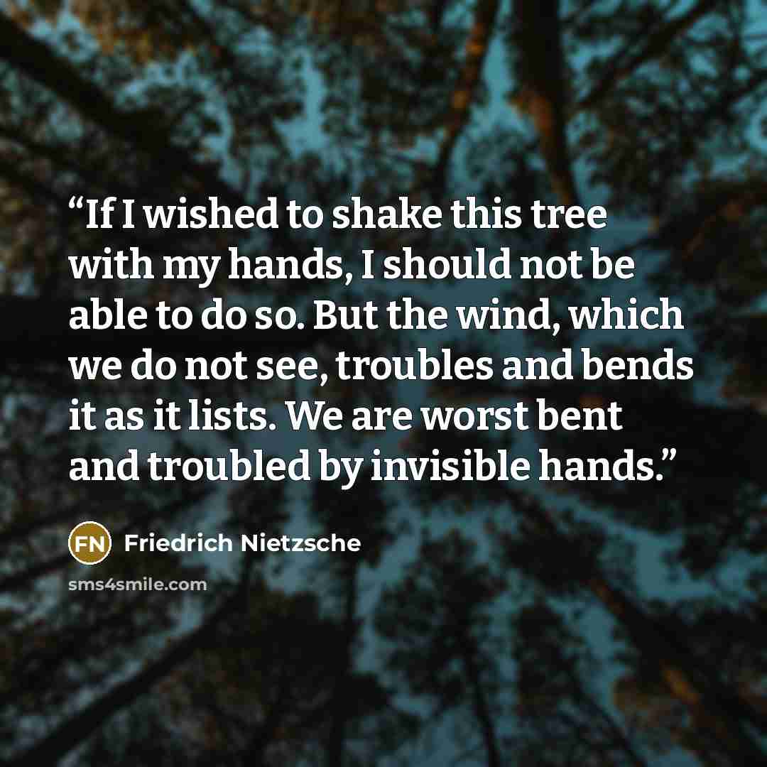 “If I wished to shake this tree with my hands, I should not be able to do so. But the wind, which we do not see, troubles and bends it as it lists. We are worst bent and troubled by invisible hands.” quote by Friedrich Nietzsche