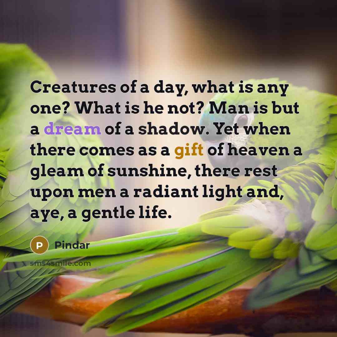 “Creatures of a day, what is any one? What is he not? Man is but a dream of a shadow. Yet when there comes as a gift of heaven a gleam of sunshine, there rest upon men a radiant light and, aye, a gentle life.” quote by Pindar