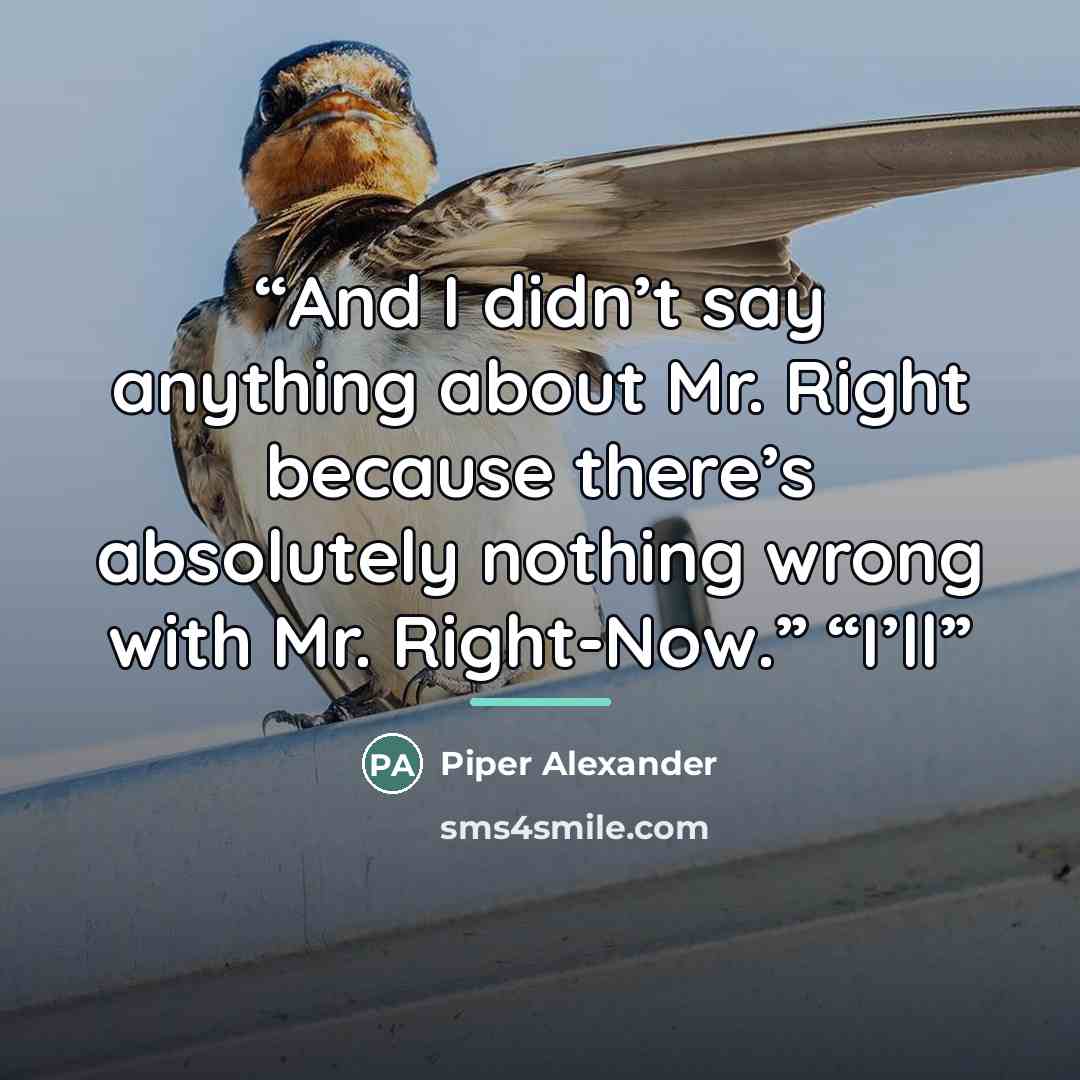 “And I didn’t say anything about Mr. Right because there’s absolutely nothing wrong with Mr. Right-Now.” “I’ll” quote by Piper Alexander