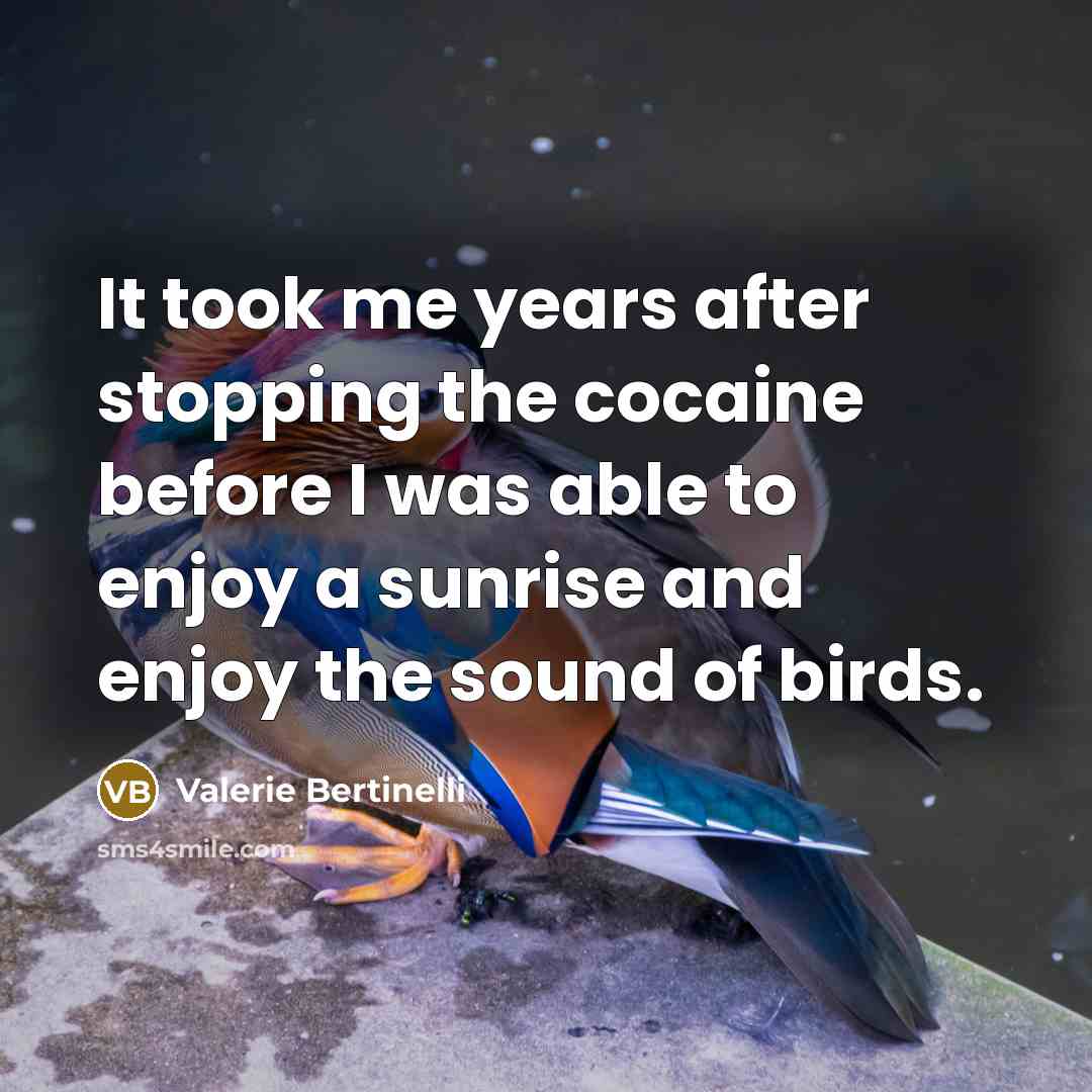 “It took me years after stopping the cocaine before I was able to enjoy a sunrise and enjoy the sound of birds.” quote by Valerie Bertinelli
