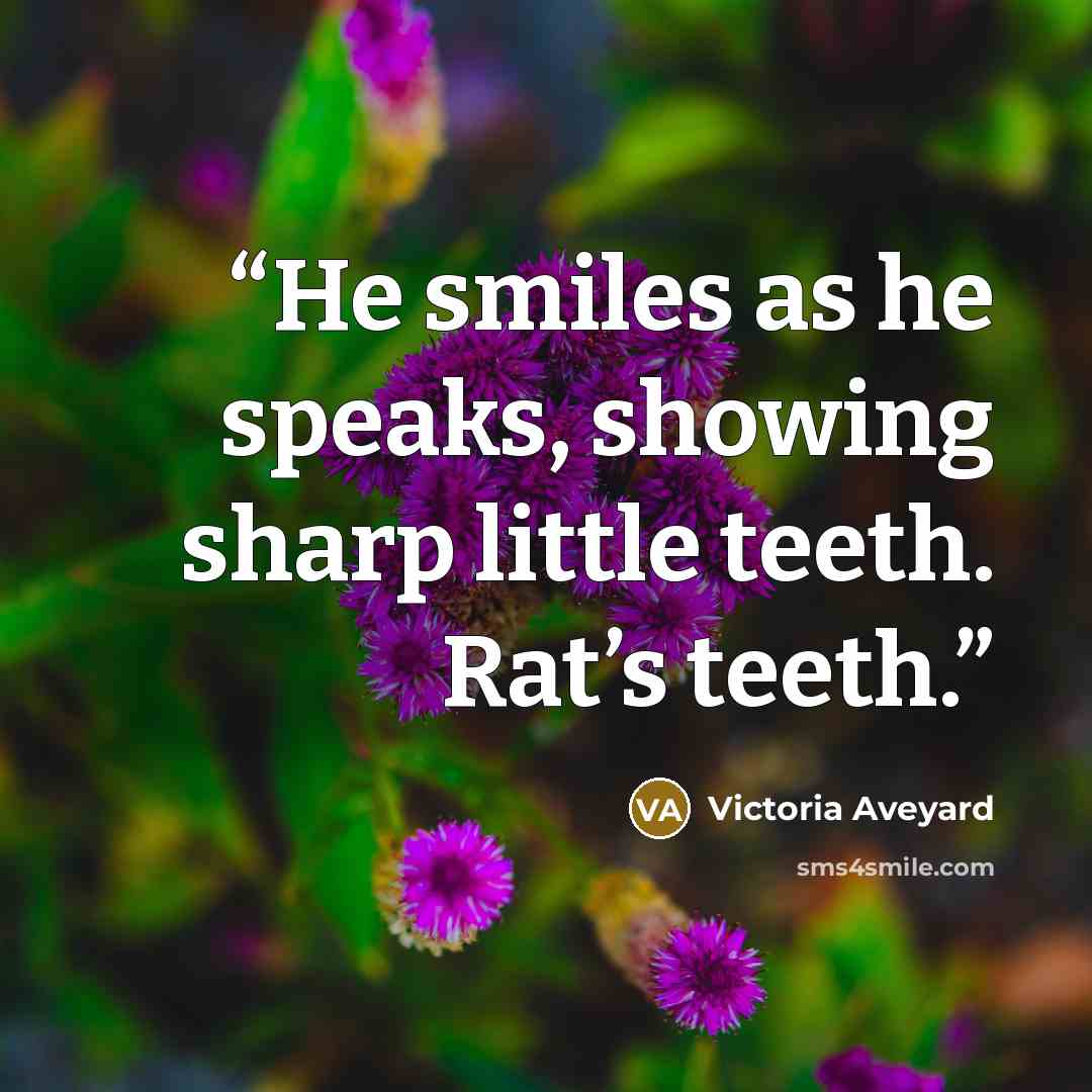 “He smiles as he speaks, showing sharp little teeth. Rat’s teeth.” quote by Victoria Aveyard