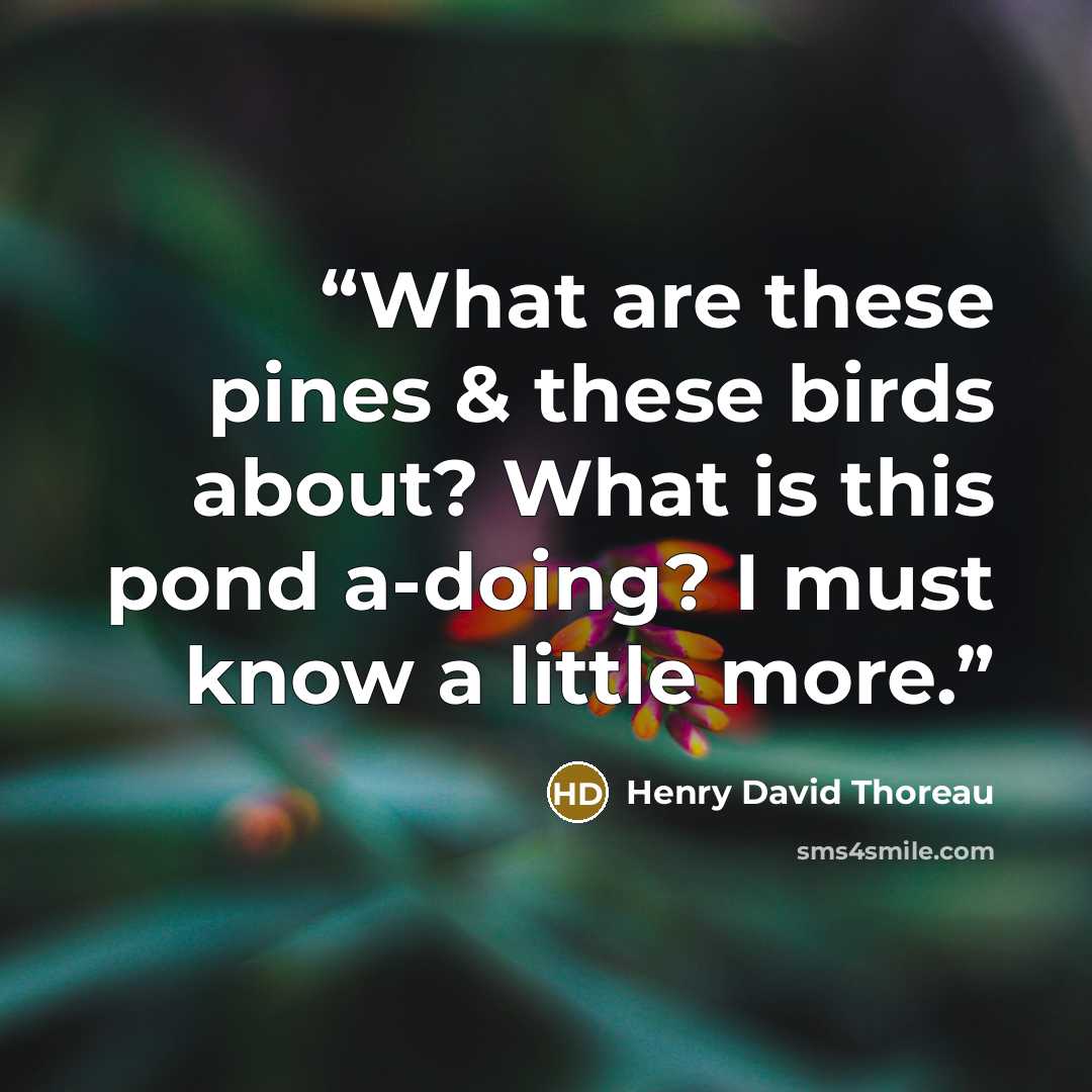 “What are these pines & these birds about? What is this pond a-doing? I must know a little more.” quote by Henry David Thoreau