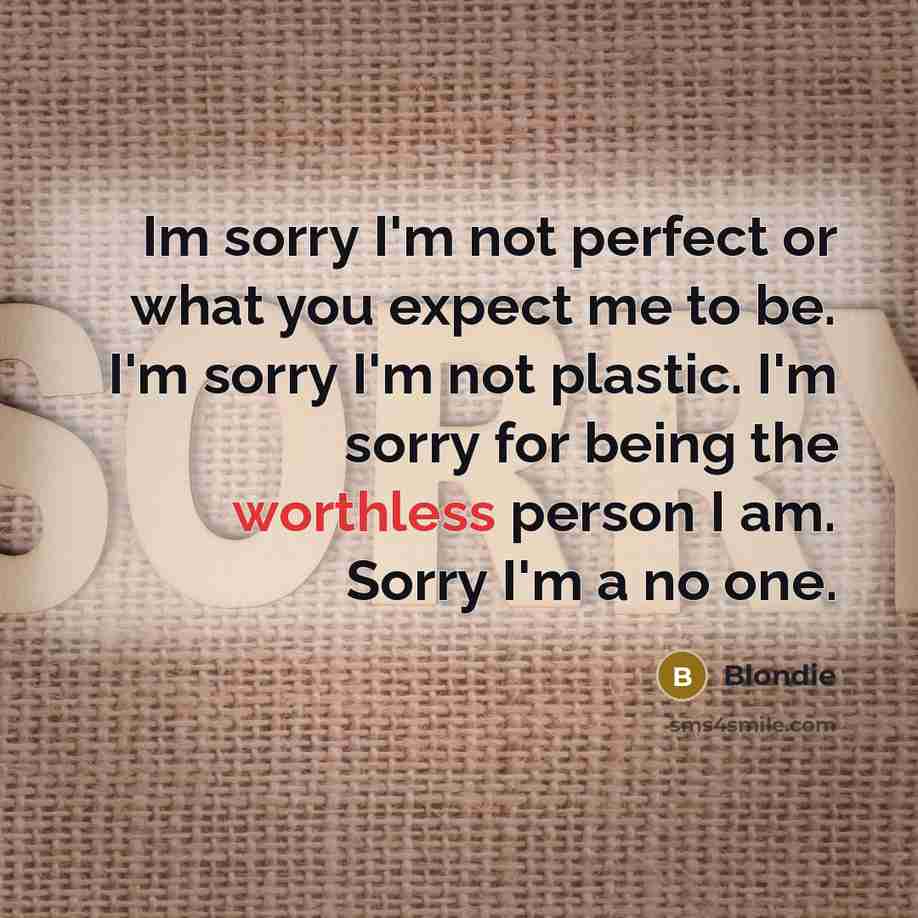 “Im sorry I'm not perfect or what you expect me to be. I'm sorry I'm not plastic. I'm sorry for being the worthless person I am. Sorry I'm a no one.” quote by Blondie