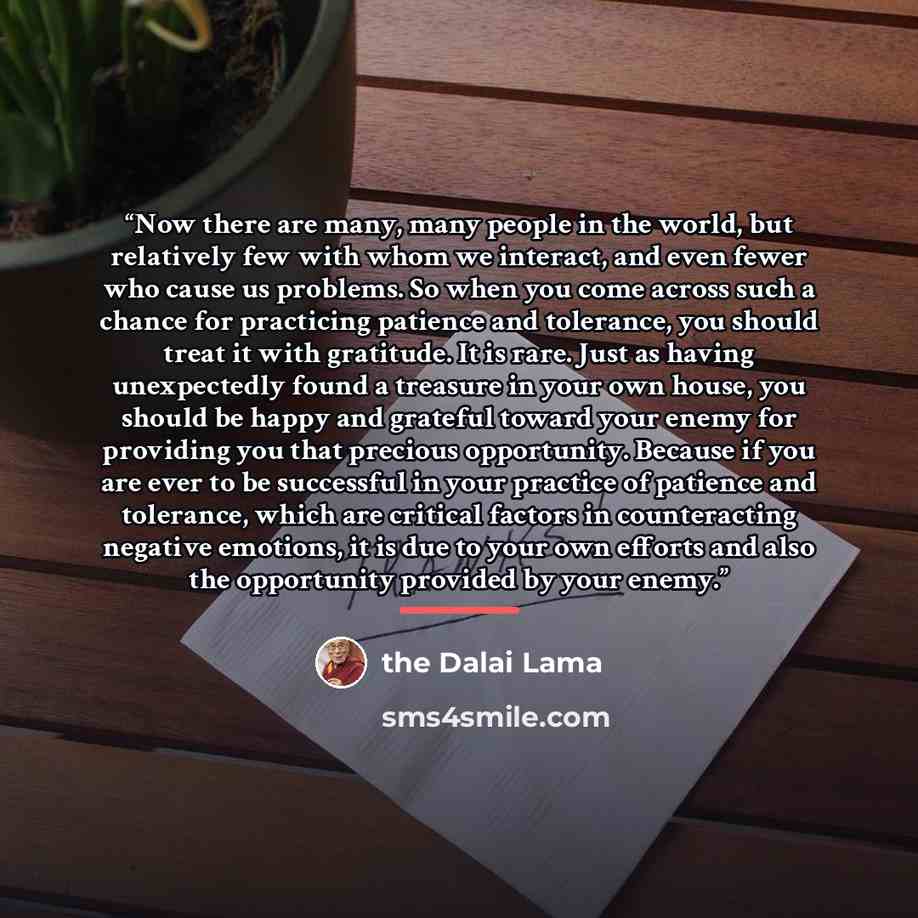 “Now there are many, many people in the world, but relatively few with whom we interact, and even fewer who cause us problems. So when you come across such a chance for practicing patience and tolerance, you should treat it with gratitude. It is rare. Just as having unexpectedly found a treasure in…” quote by The Dalai Lama