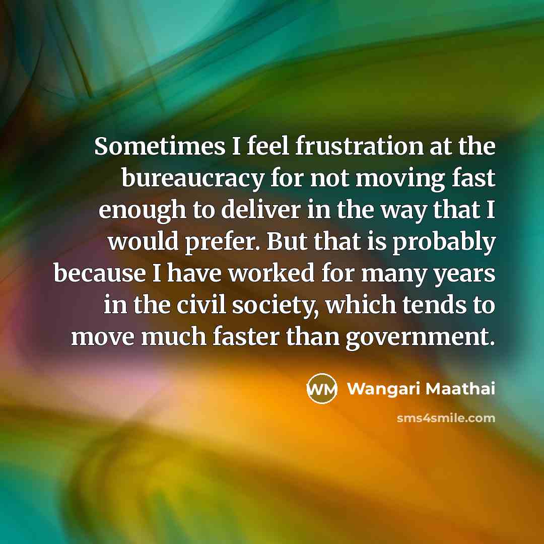 “Sometimes I feel frustration at the bureaucracy for not moving fast enough to deliver in the way that I would prefer. But that is probably because I have worked for many years in the civil society, which tends to move much faster than government.” quote by Wangari Maathai
