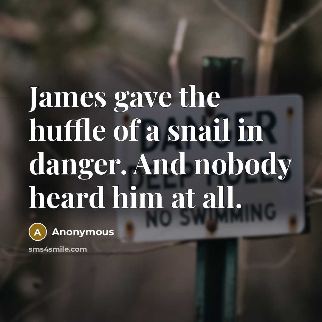 “James gave the huffle of a snail in danger. And nobody heard him at all.” quote by Anonymous