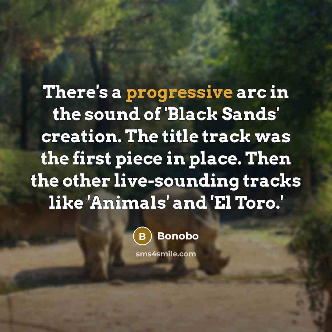 “There's a progressive arc in the sound of 'Black Sands' creation. The title track was the first piece in place. Then the other live-sounding tracks like 'Animals' and 'El Toro.'” quote by Bonobo
