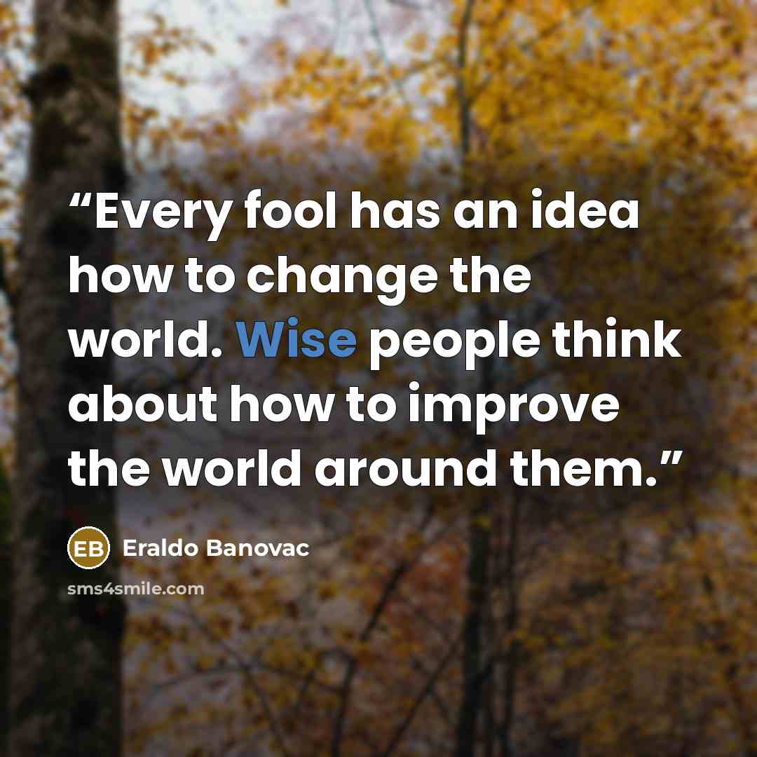 “Every fool has an idea how to change the world. Wise people think about how to improve the world around them.” quote by Eraldo Banovac