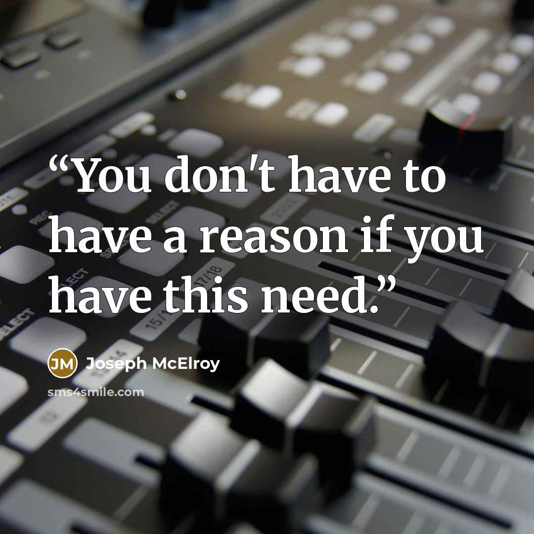 “You don't have to have a reason if you have this need.” quote by Joseph McElroy