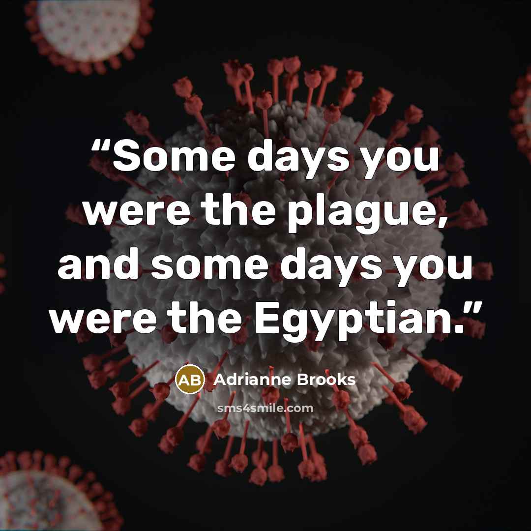 “Some days you were the plague, and some days you were the Egyptian.” quote by Adrianne Brooks