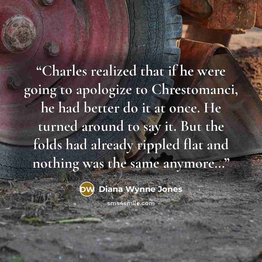 “Charles realized that if he were going to apologize to Chrestomanci, he had better do it at once. He turned around to say it. But the folds had already rippled flat and nothing was the same anymore…” quote by Diana Wynne Jones