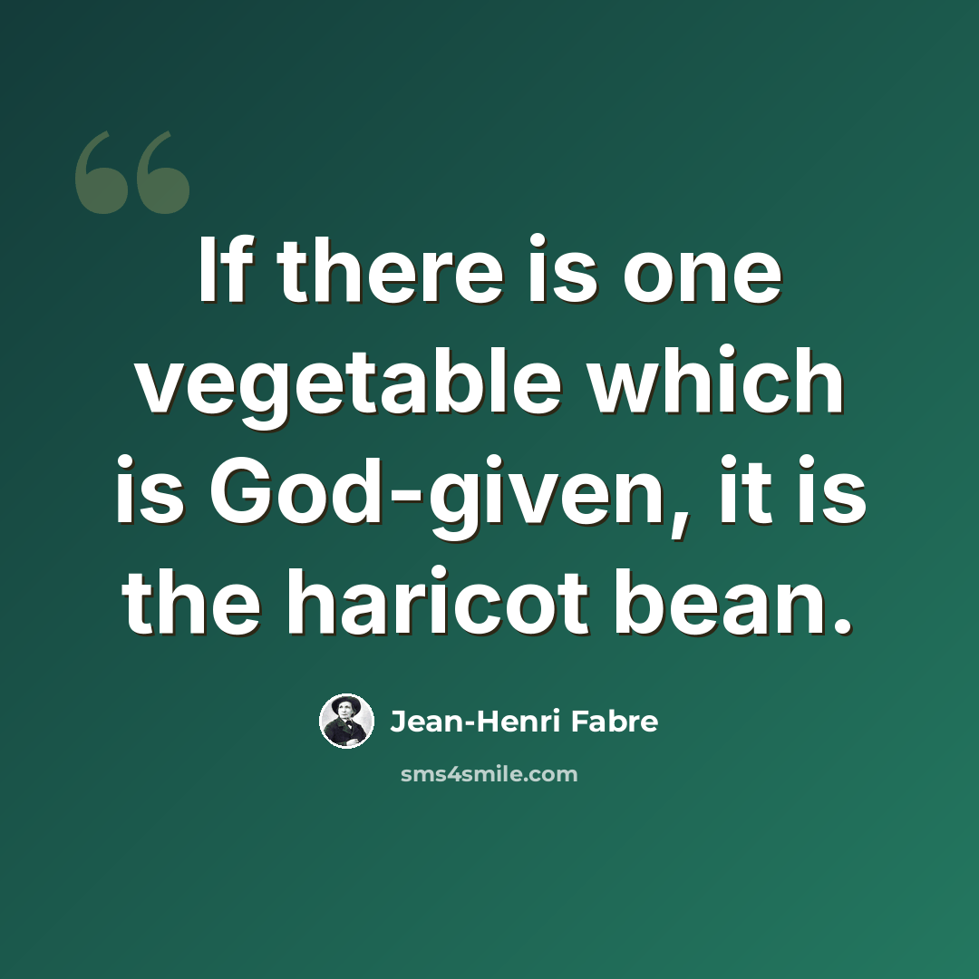 “If there is one vegetable which is God-given, it is the haricot bean.” quote by Jean-Henri Fabre