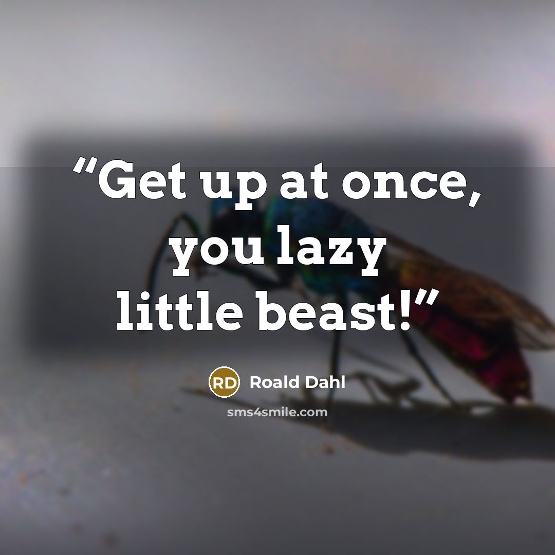 “Get up at once, you lazy little beast!” quote by Roald Dahl