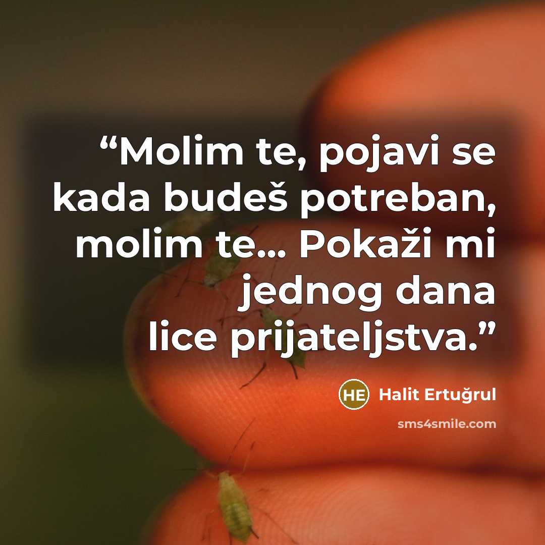 “Molim te, pojavi se kada budeš potreban, molim te... Pokaži mi jednog dana lice prijateljstva.” quote by Halit Ertuğrul