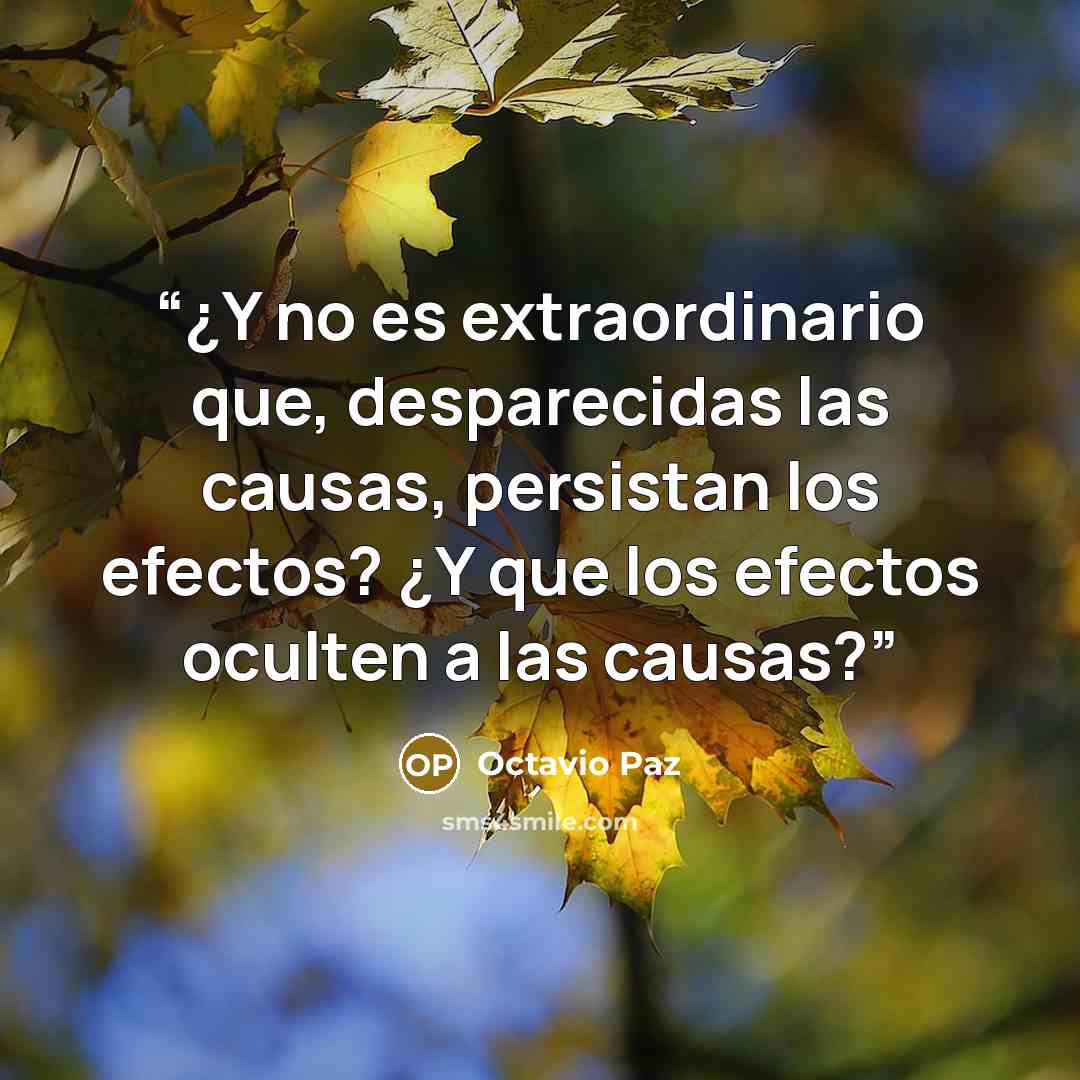 “¿Y no es extraordinario que, desparecidas las causas, persistan los efectos? ¿Y que los efectos oculten a las causas?” quote by Octavio Paz
