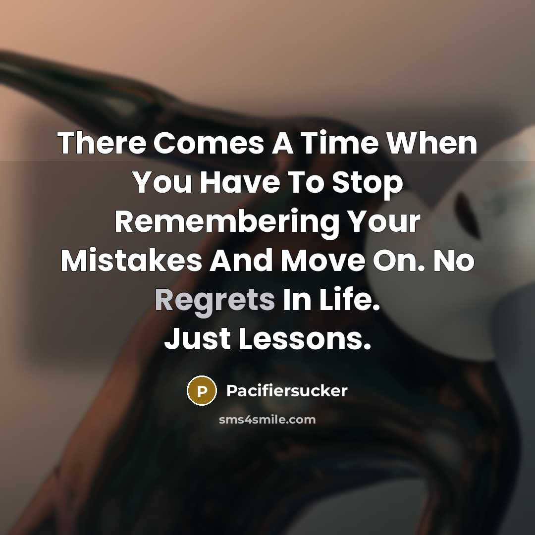 “There Comes A Time When You Have To Stop Remembering Your Mistakes And Move On. No Regrets In Life. Just Lessons.” quote by Pacifiersucker