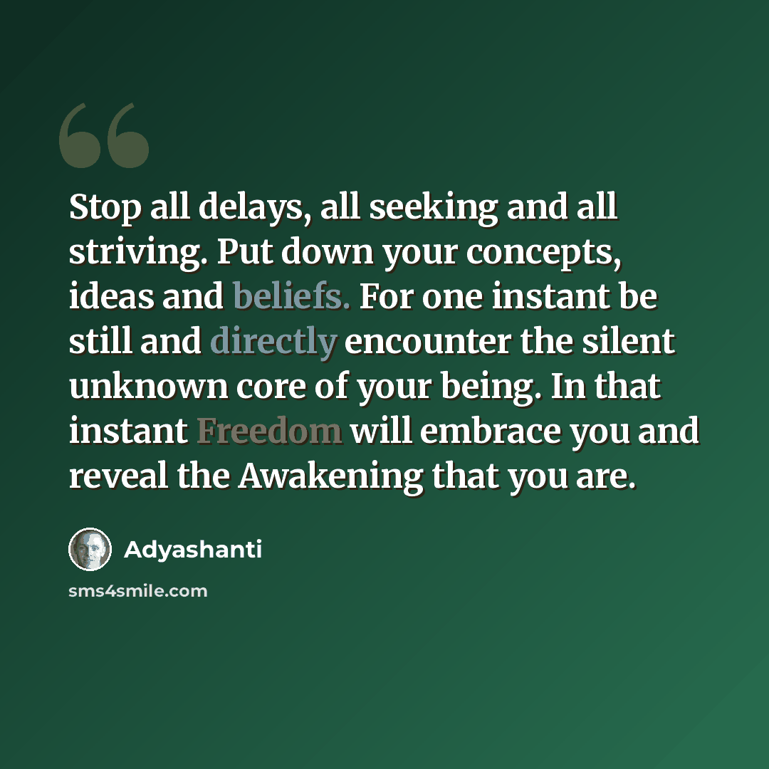 “Stop all delays, all seeking and all striving. Put down your concepts, ideas and beliefs. For one instant be still and directly encounter the silent unknown core of your being. In that instant Freedom will embrace you and reveal the Awakening that you are.” quote by Adyashanti