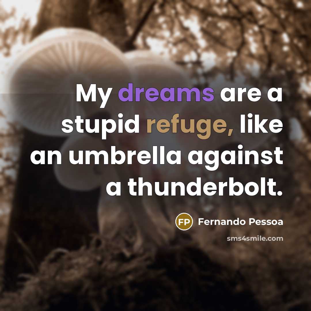 “My dreams are a stupid refuge, like an umbrella against a thunderbolt.” quote by Fernando Pessoa