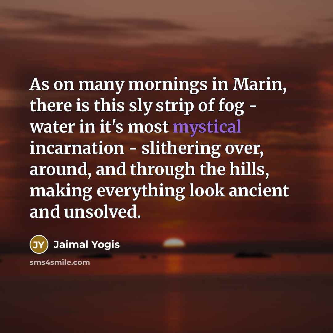 “As on many mornings in Marin, there is this sly strip of fog - water in it's most mystical incarnation - slithering over, around, and through the hills, making everything look ancient and unsolved.” quote by Jaimal Yogis