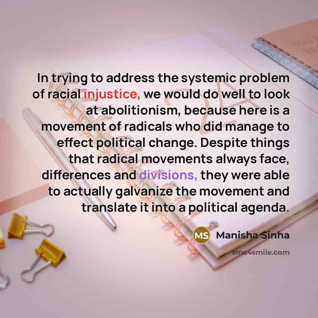 “In trying to address the systemic problem of racial injustice, we would do well to look at abolitionism, because here is a movement of radicals who did manage to effect political change. Despite things that radical movements always face, differences and divisions, they were able to actually…” quote by Manisha Sinha