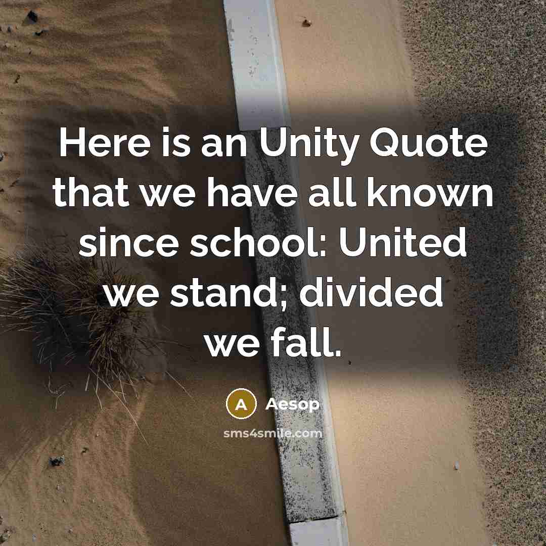 “Here is an Unity Quote that we have all known since school: United we stand; divided we fall.” quote by Aesop