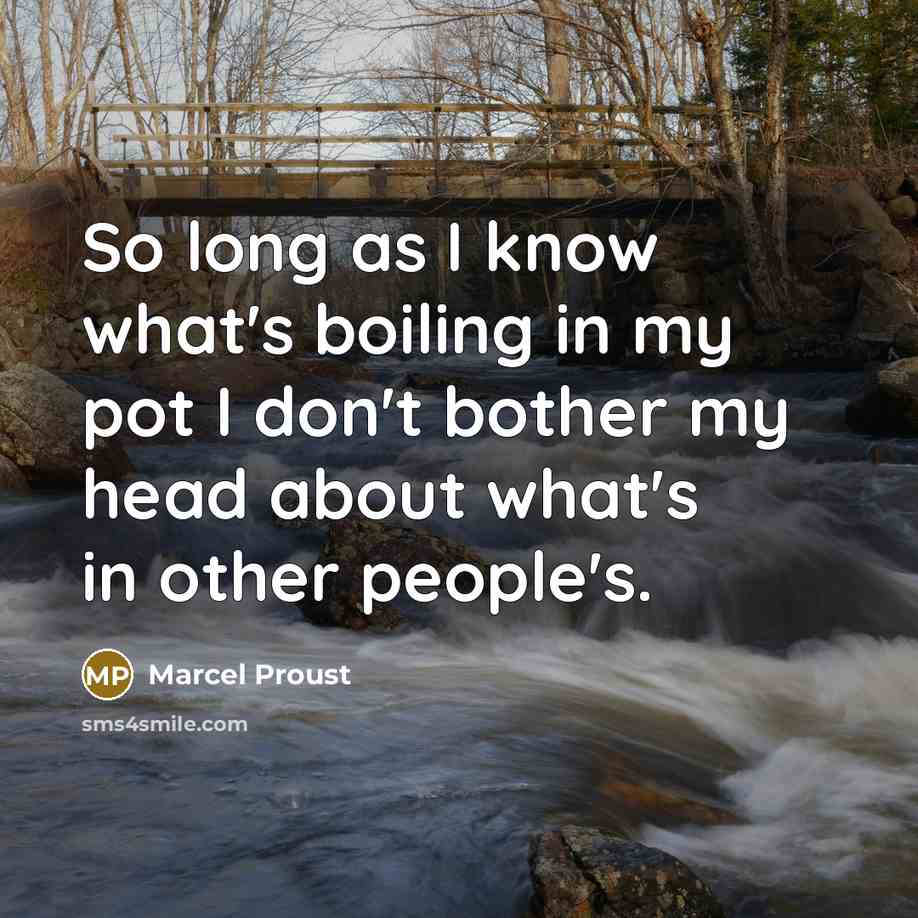 “So long as I know what's boiling in my pot I don't bother my head about what's in other people's.” quote by Marcel Proust
