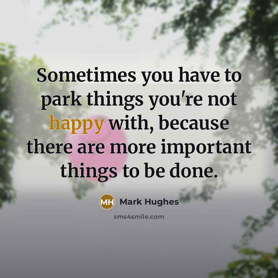 “Sometimes you have to park things you're not happy with, because there are more important things to be done.” quote by Mark Hughes