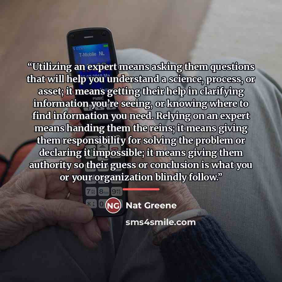 “Utilizing an expert means asking them questions that will help you understand a science, process, or asset; it means getting their help in clarifying information you’re seeing, or knowing where to find information you need. Relying on an expert means handing them the reins; it means giving them…” quote by Nat Greene