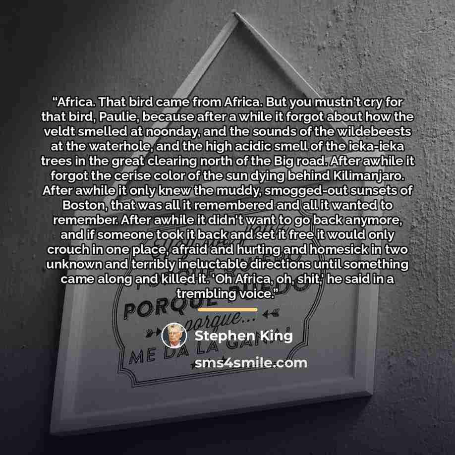 “Africa. That bird came from Africa. But you mustn't cry for that bird, Paulie, because after a while it forgot about how the veldt smelled at noonday, and the sounds of the wildebeests at the waterhole, and the high acidic smell of the ieka-ieka trees in the great clearing north of the Big road…” quote by Stephen King