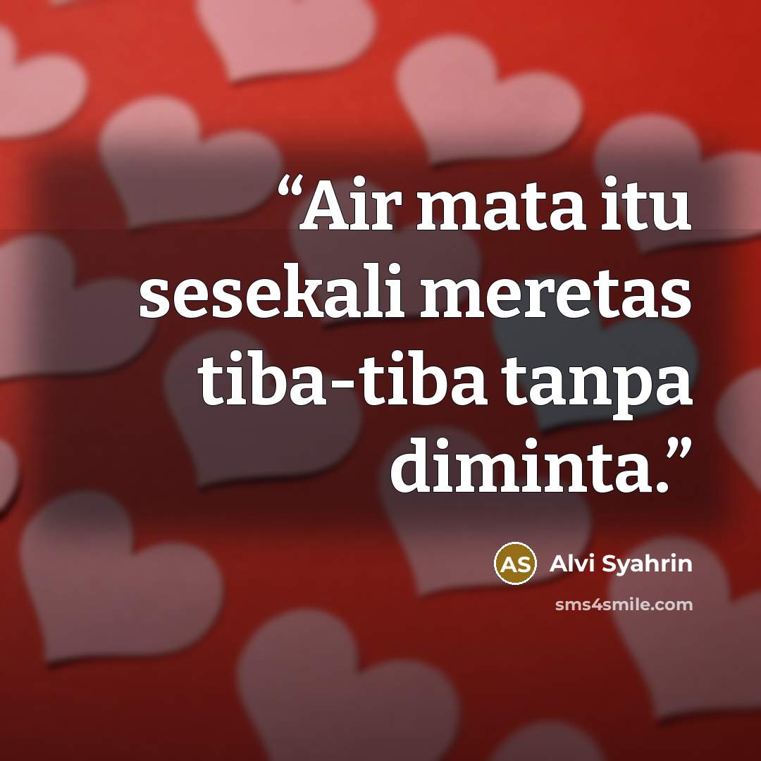 “Air mata itu sesekali meretas tiba-tiba tanpa diminta.” quote by Alvi Syahrin