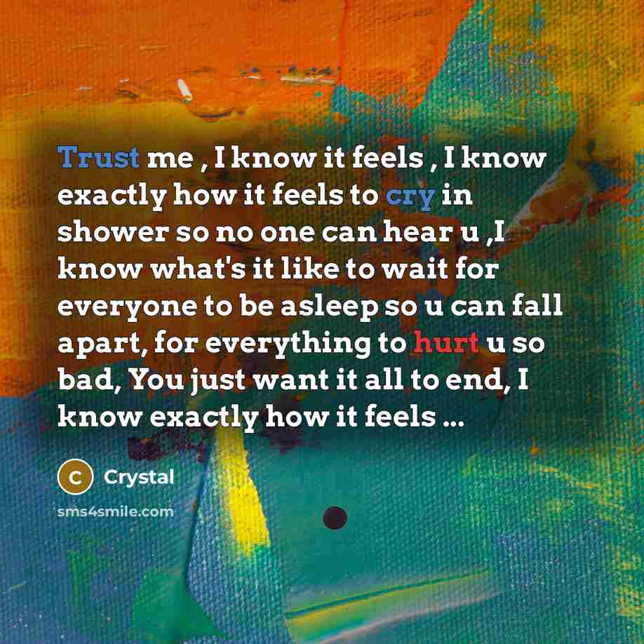 “Trust me , I know it feels , I know exactly how it feels to cry in shower so no one can hear u ,I know what's it like to wait for everyone to be asleep so u can fall apart, for everything to hurt u so bad, You just want it all to end, I know exactly how it feels ...” quote by Crystal