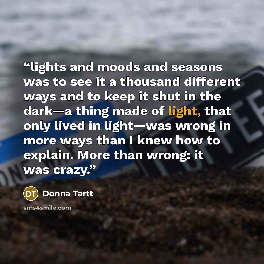 “lights and moods and seasons was to see it a thousand different ways and to keep it shut in the dark—a thing made of light, that only lived in light—was wrong in more ways than I knew how to explain. More than wrong: it was crazy.” quote by Donna Tartt