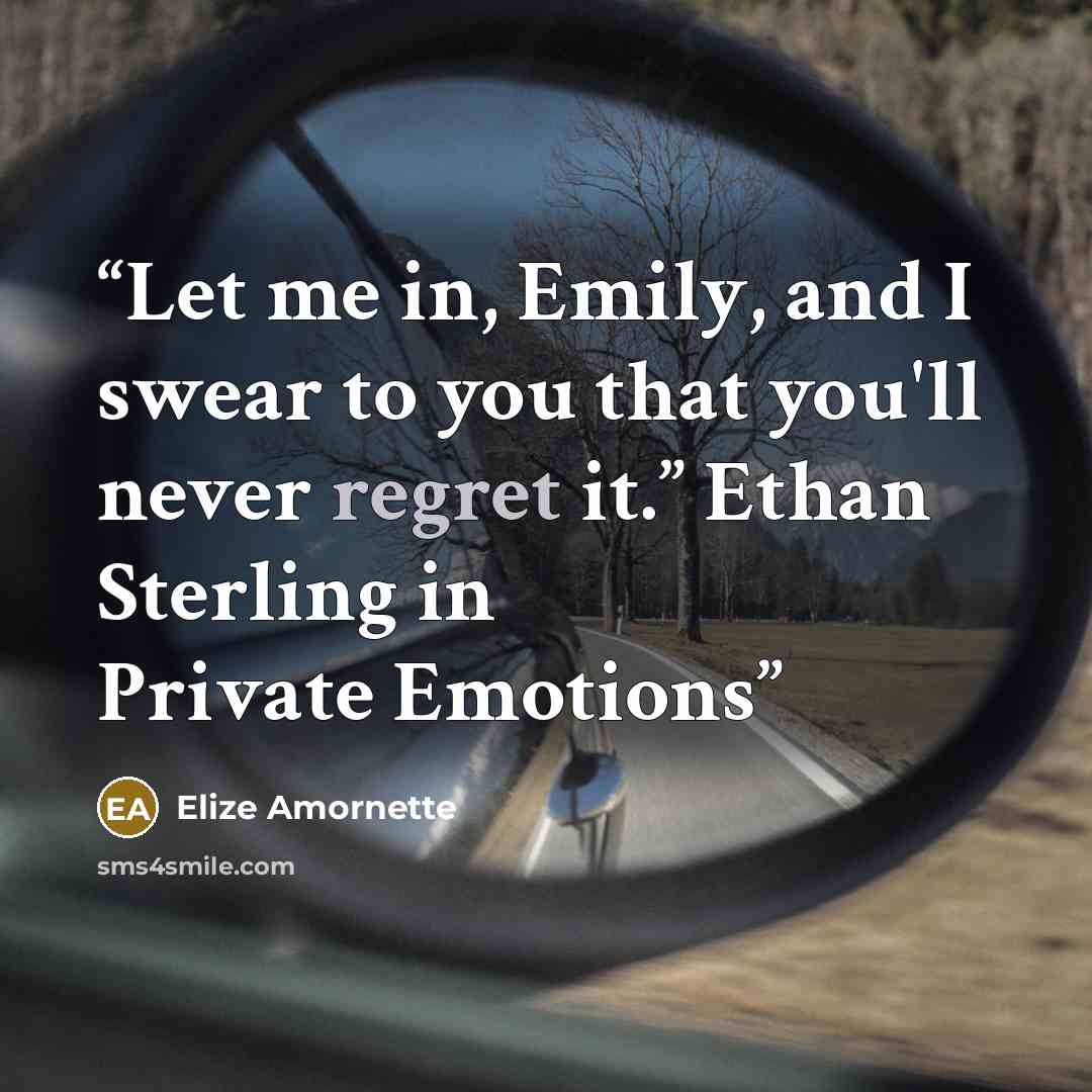 “Let me in, Emily, and I swear to you that you'll never regret it.” Ethan Sterling in Private Emotions” quote by Elize Amornette