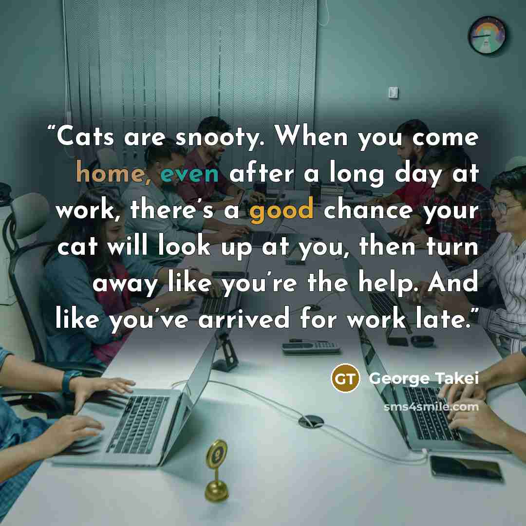 “Cats are snooty. When you come home, even after a long day at work, there’s a good chance your cat will look up at you, then turn away like you’re the help. And like you’ve arrived for work late.” quote by George Takei