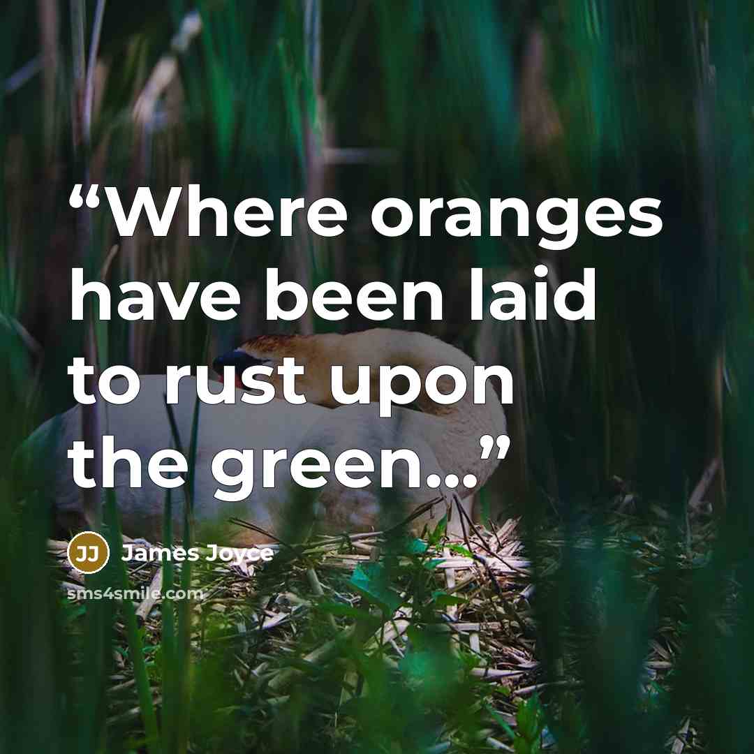 “Where oranges have been laid to rust upon the green...” quote by James Joyce