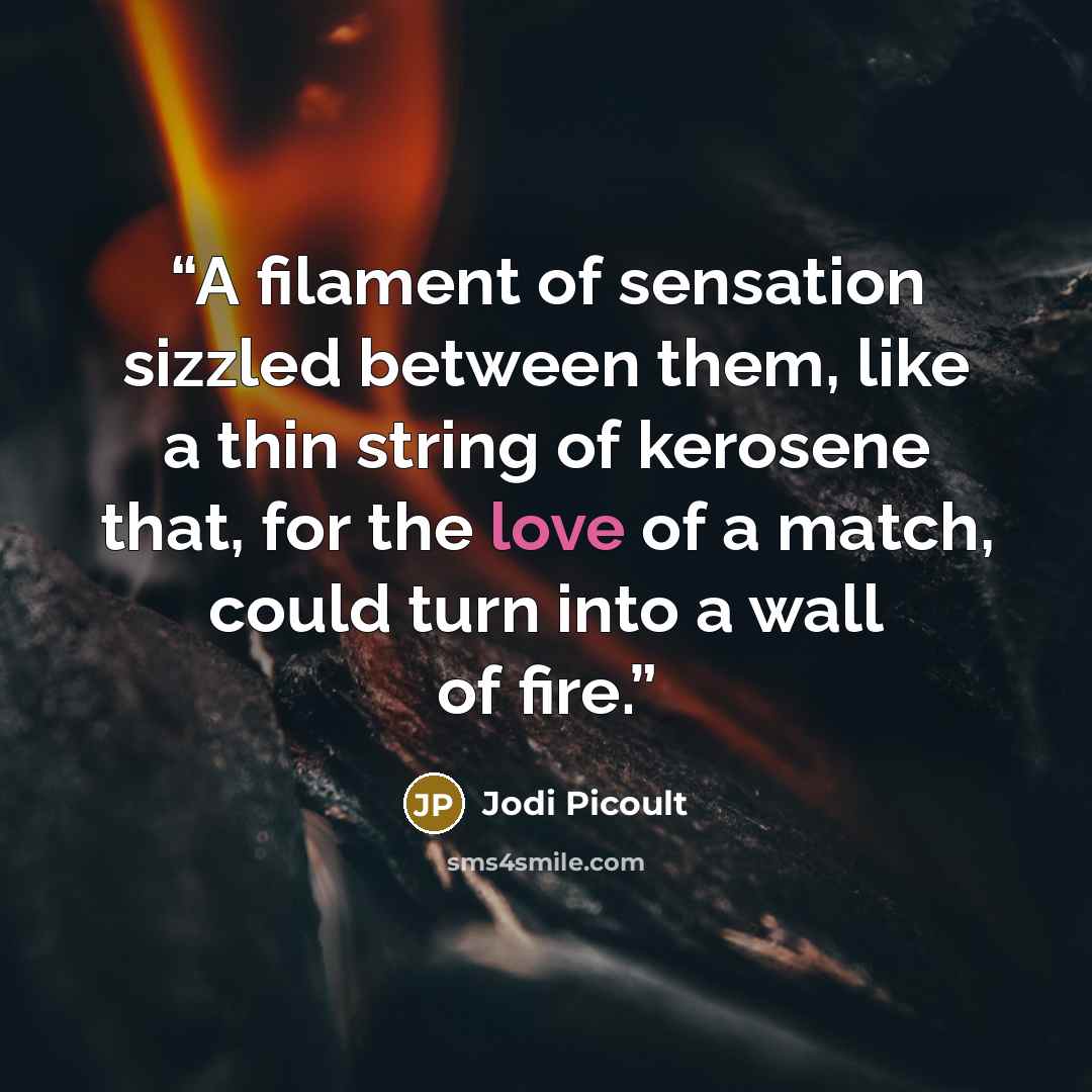 “A filament of sensation sizzled between them, like a thin string of kerosene that, for the love of a match, could turn into a wall of fire.” quote by Jodi Picoult