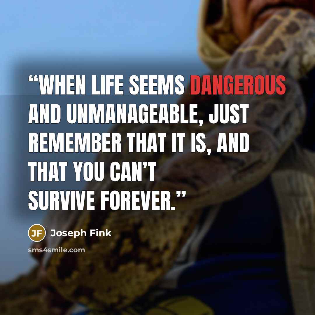 “When life seems dangerous and unmanageable, just remember that it is, and that you can’t survive forever.” quote by Joseph Fink