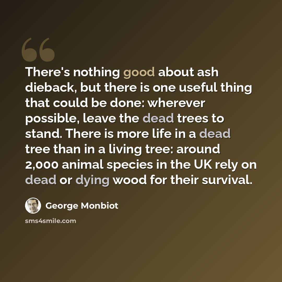 “There's nothing good about ash dieback, but there is one useful thing that could be done: wherever possible, leave the dead trees to stand. There is more life in a dead tree than in a living tree: around 2,000 animal species in the UK rely on dead or dying wood for their survival.” quote by George Monbiot