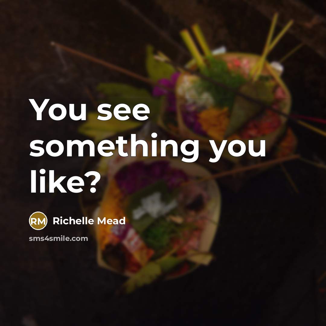“You see something you like?” quote by Richelle Mead