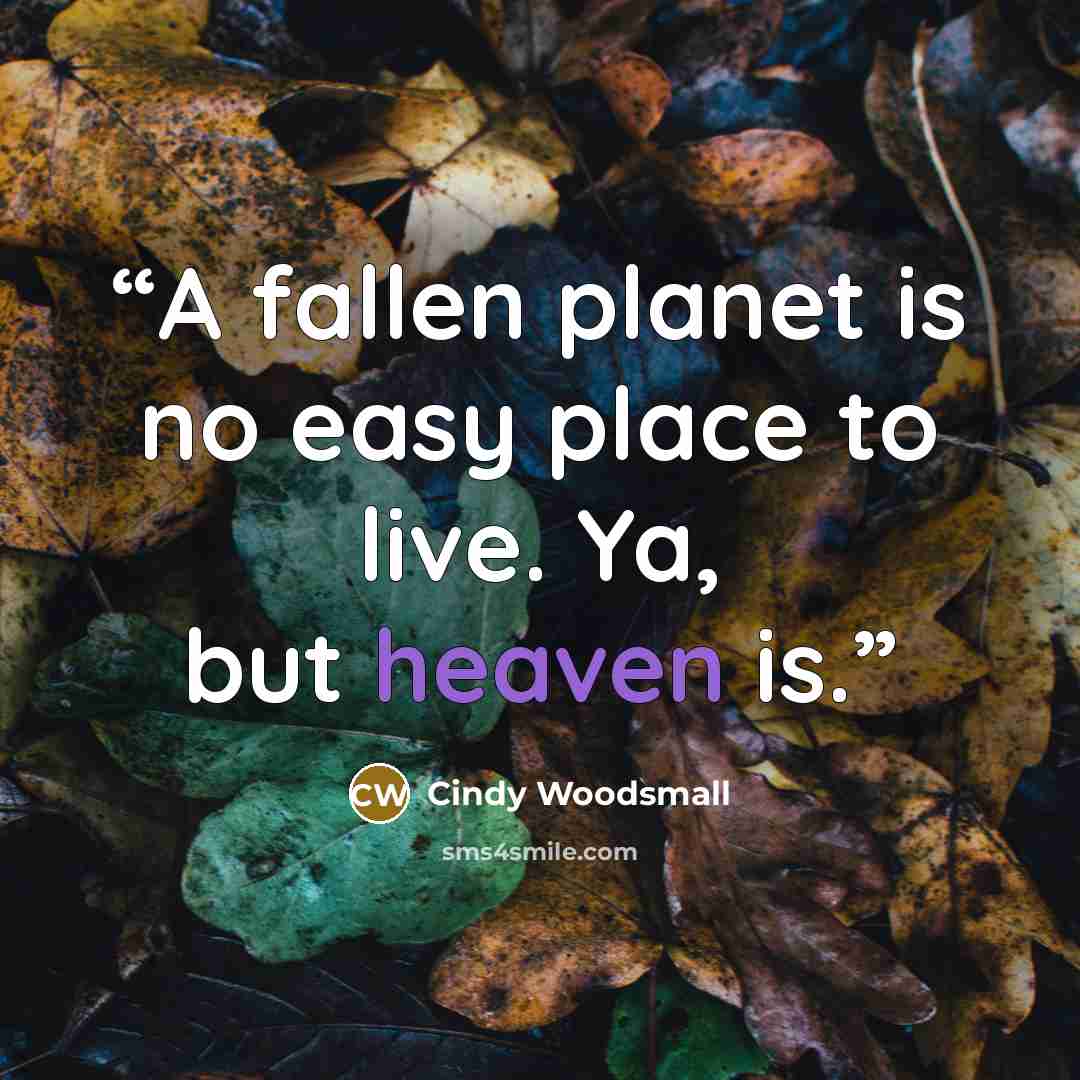 “A fallen planet is no easy place to live. Ya, but heaven is.” quote by Cindy Woodsmall