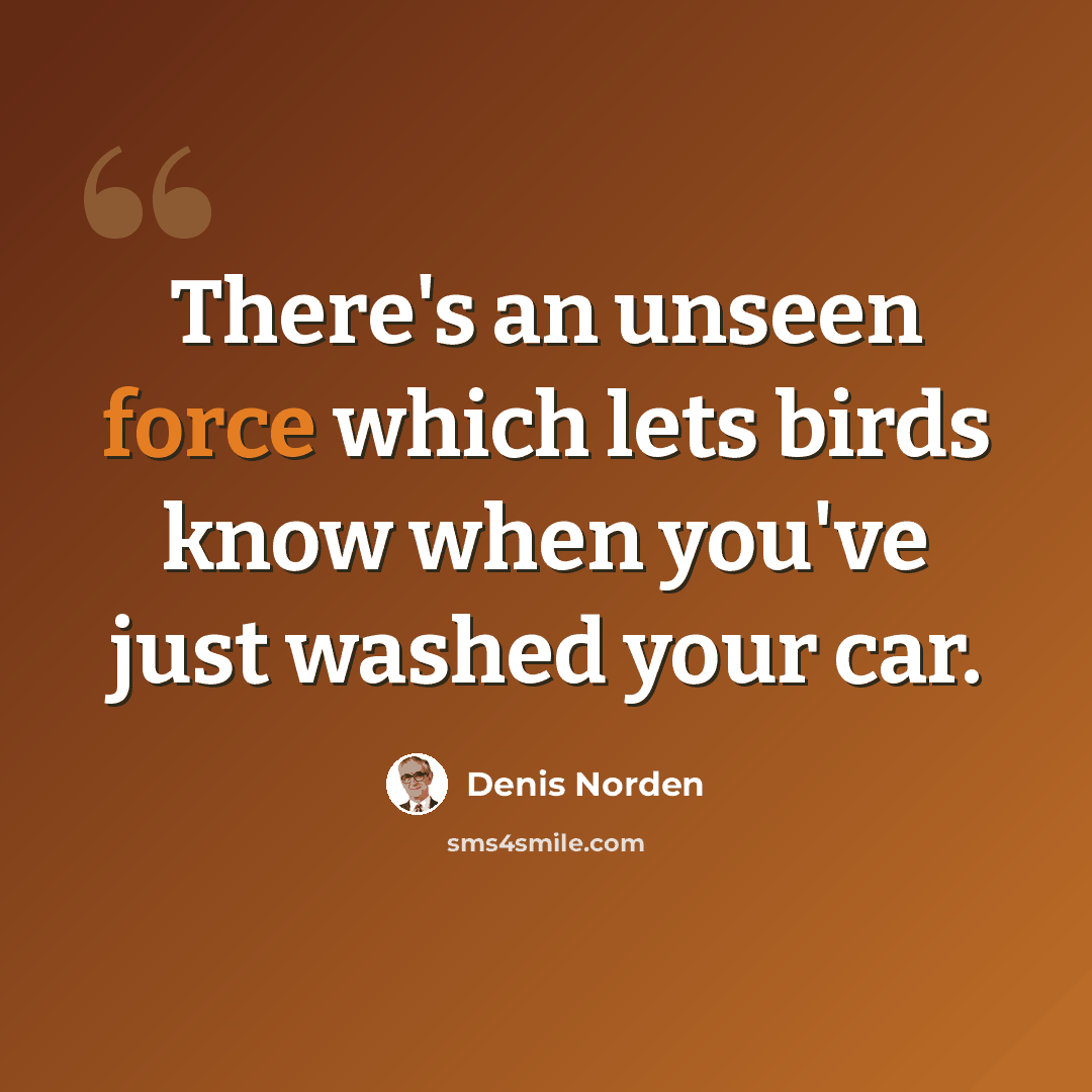 “There's an unseen force which lets birds know when you've just washed your car.” quote by Denis Norden