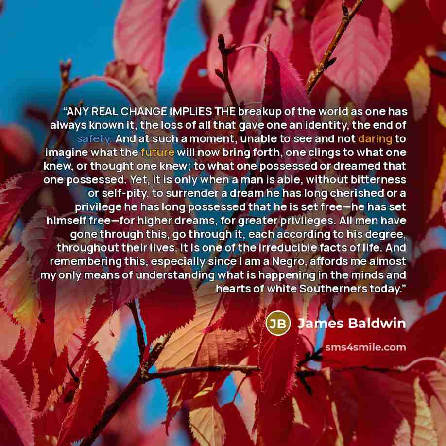 “ANY REAL CHANGE IMPLIES THE breakup of the world as one has always known it, the loss of all that gave one an identity, the end of safety. And at such a moment, unable to see and not daring to imagine what the future will now bring forth, one clings to what one knew, or thought one knew; to what…” quote by James Baldwin