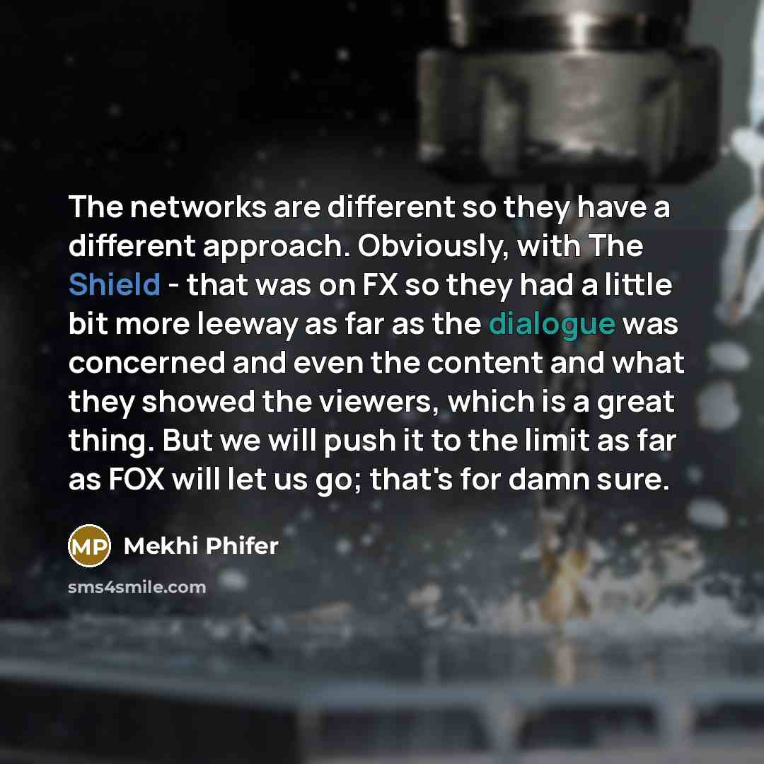 “The networks are different so they have a different approach. Obviously, with The Shield - that was on FX so they had a little bit more leeway as far as the dialogue was concerned and even the content and what they showed the viewers, which is a great thing. But we will push it to the limit as far…” quote by Mekhi Phifer