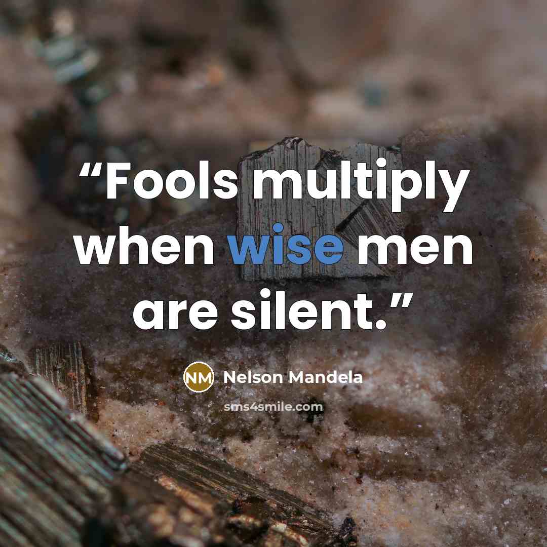 “Fools multiply when wise men are silent.” quote by Nelson Mandela